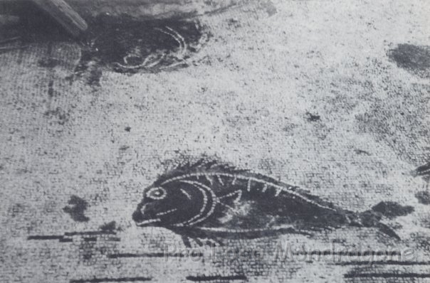 Particolare del mosaico del frigidario della Villa di S. Limato.jpg